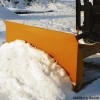 Schneeschild